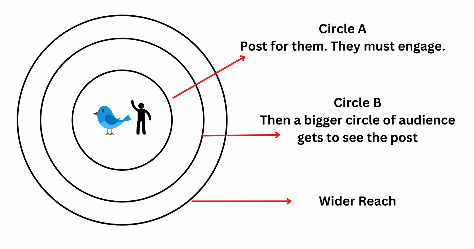 Twitter algoritm concentric circles